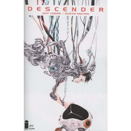 DESCENDER # 11