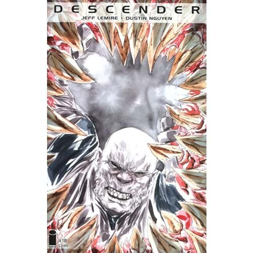 DESCENDER # 18