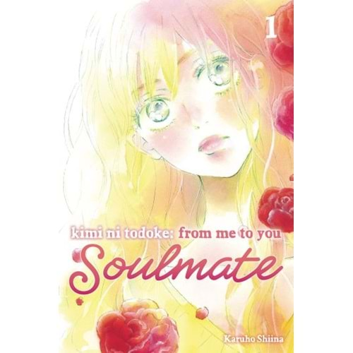 KIMI NI TODOKE FROM ME TO SOULMATE VOL 1 TPB