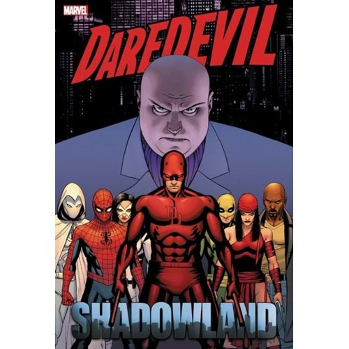 DAREDEVIL SHADOWLAND OMNIBUS HC CASSADAY COVER