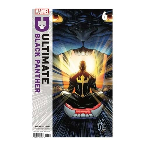 ULTIMATE BLACK PANTHER (2024) # 6