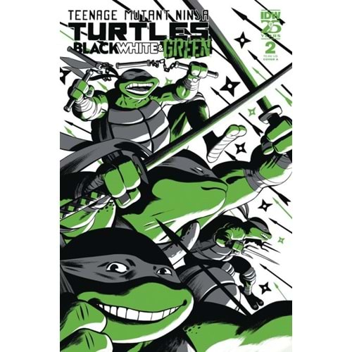 TMNT BLACK WHITE & GREEN # 2 COVER A RODRIGUEZ