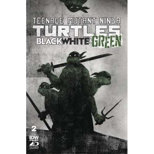 TMNT BLACK WHITE & GREEN # 2 COVER B JEFFREY ALAN LOVE