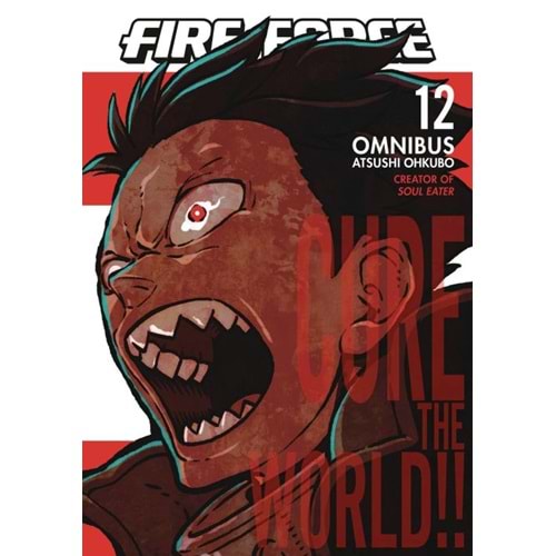 FIRE FORCE OMNIBUS VOL 12 TPB