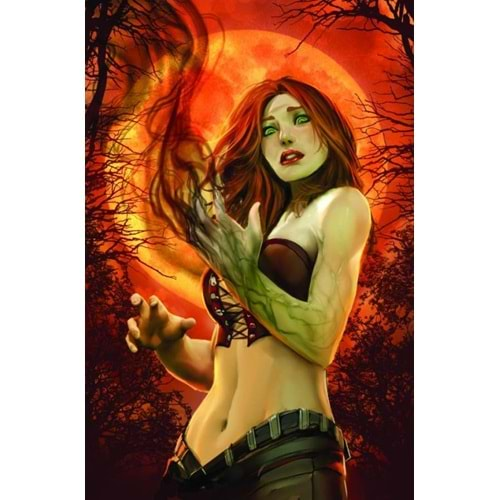 GRIMM FAIRY TALES GIANT SIZE 2013 # 1 COVER C SEJIC