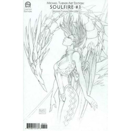 MICHAEL TURNER ART EDITION SOULFIRE # 1 1:6 MICHAEL TURNER SKETCH VARIANT