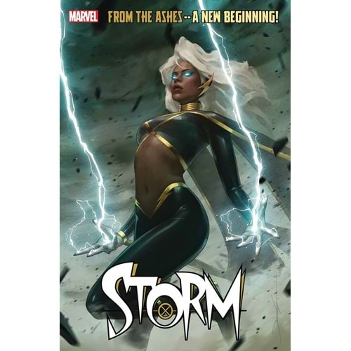 STORM (2024) #1 JEEHYUNG LEE VARIANT