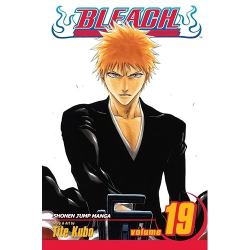 BLEACH VOL 19 TPB