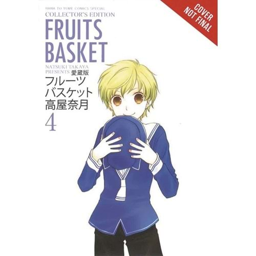 FRUITS BASKET COLLECTORS EDITION VOL 4 TPB