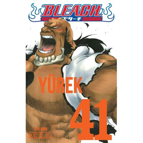 BLEACH CİLT 41