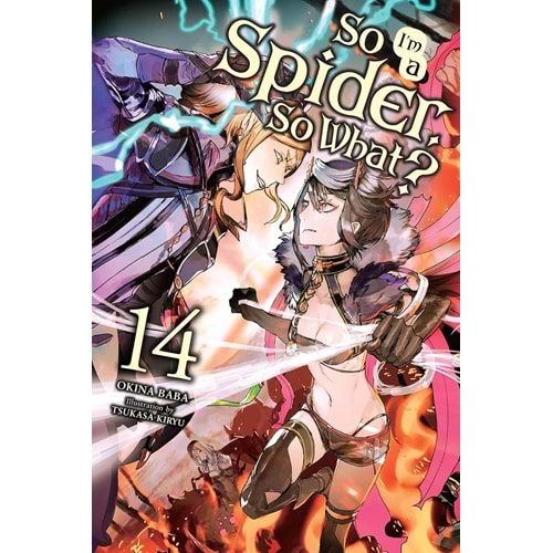 SO IM A SPIDER SO WHAT NOVEL VOL 14 TPB
