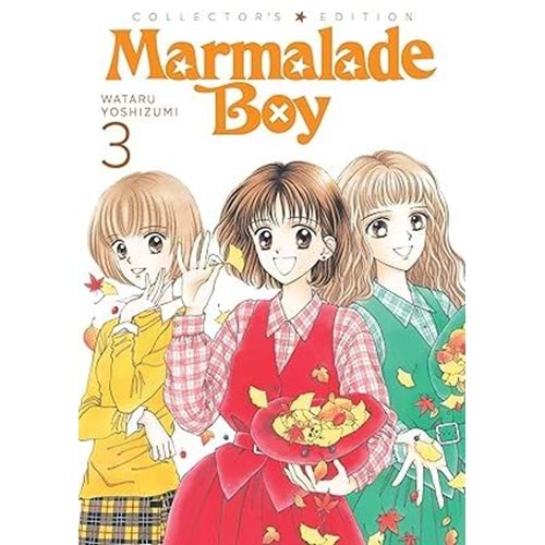 MARMALADE BOY COLLECTORS EDITION VOL 3 TPB