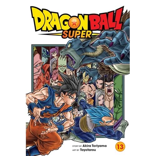 DRAGON BALL SUPER VOL 13 TPB