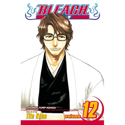 BLEACH VOL 12 TPB