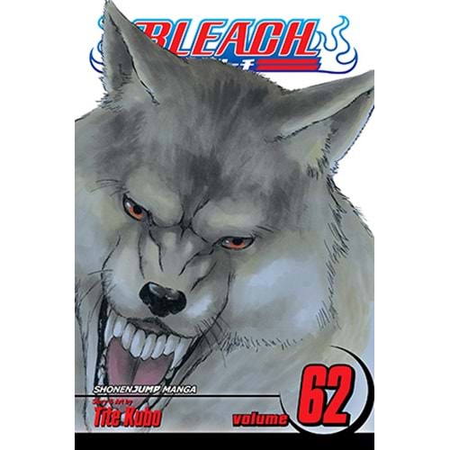 BLEACH VOL 62 TPB