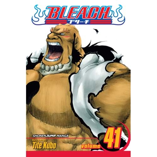 BLEACH VOL 41 TPB