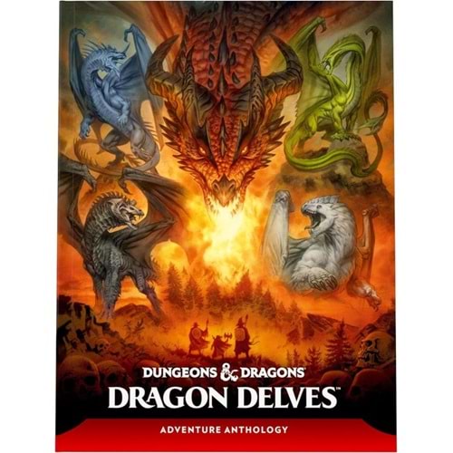 DUNGEONS & DRAGONS DRAGON DELVES HC