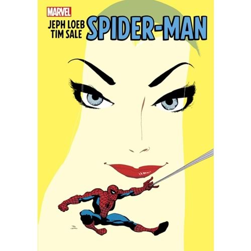 JEPH LOEB AND TIM SALE SPIDER-MAN TPB