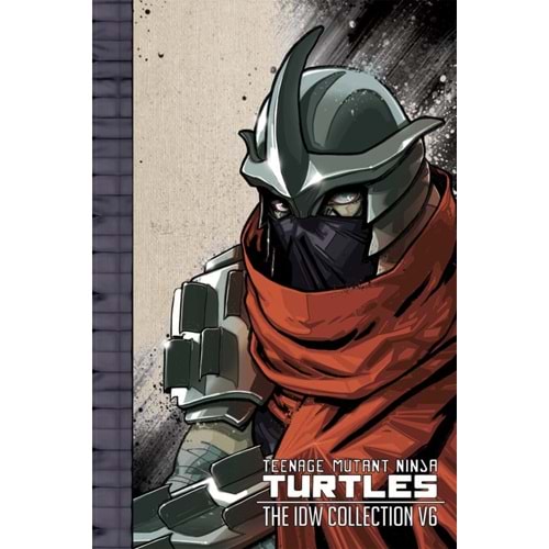 TEENAGE MUTANT NINJA TURTLES ONGOING IDW COLLECTION VOL 6 TPB
