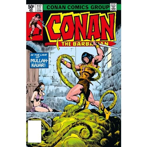 CONAN BARBARIAN ORIGINAL COMICS OMNIBUS VOL 5 BUSCEMA COVER