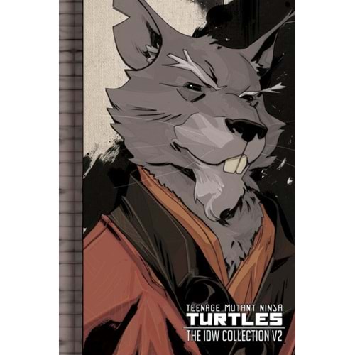 TEENAGE MUTANT NINJA TURTLES ONGOING IDW COLLECTION VOL 2 TPB