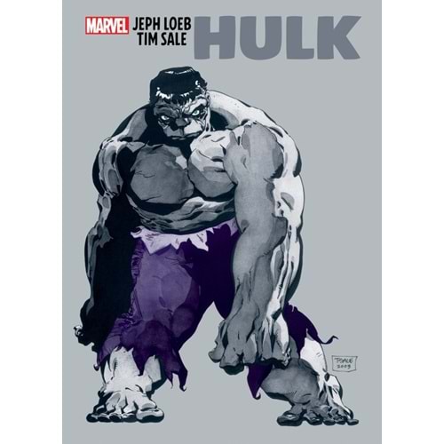 JEPH LOEB & TIM SALE HULK TPB