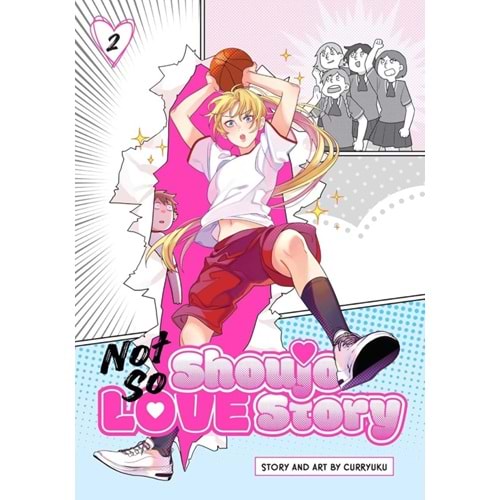 NOT SO SHOUJO LOVE STORY VOL 2 TPB