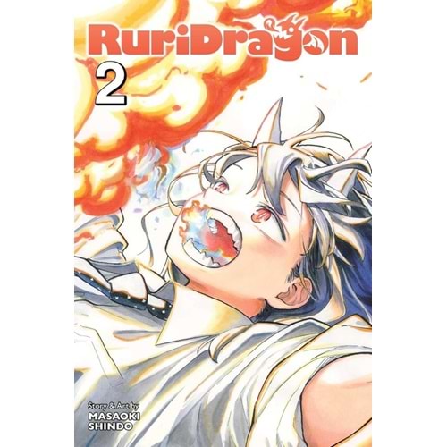 RURIDRAGON VOL 2 TPB