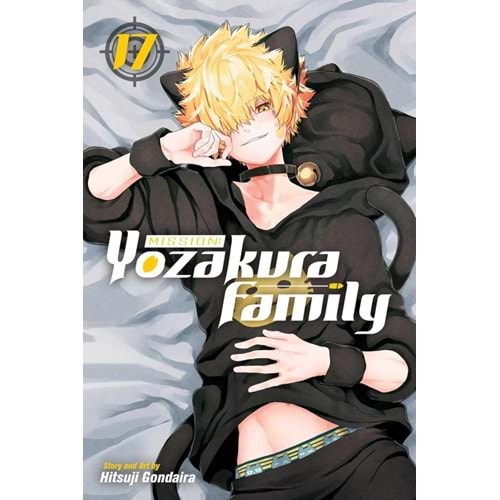 MISSION YOZAKURA FAMILY VOL 17 TPB