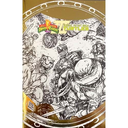 MIGHTY MORPHIN POWER RANGERS REENAGE MUTANT NINJA TURTLES II #1 ASCHAN FOIL STAMP VARIANT