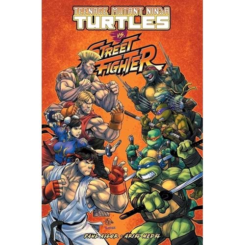 TEENAGE MUTANT NINJA TURTLES VS STREET FIGHTER TPB