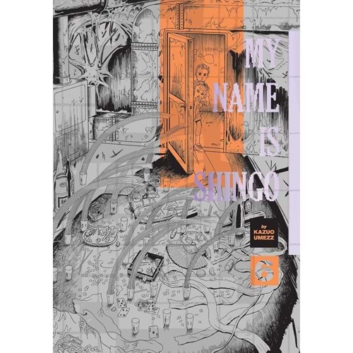 MY NAME IS SHINGO VOL 6 HC