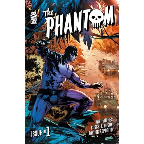 PHANTOM #1 COVER B CAANAN WHITE SEQUENTIAL BATTLE SCENE VARIANT