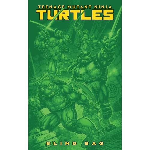 TEENAGE MUTANT NINJA TURTLES (2024) # 13 COVER F BLIND BAG VARIANT
