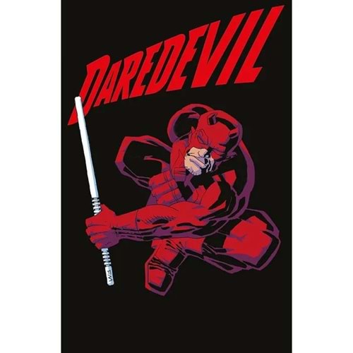 DAREDEVIL # 1 ITALIAN EDITION PANINI STORE EXCLUSIVE FRANK MILLER VARIANT