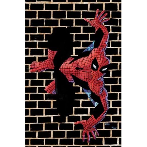 AMAZING SPIDER-MAN (2022) #1 ITALIAN EDITION PANINI STORE EXCLUSIVE FRANK MILLER VIRGIN FOIL VARIANT