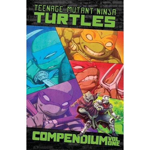 TEENAGE MUTANT NINJA TURTLES ONGOING COMPENDIUM VOL 1 TPB