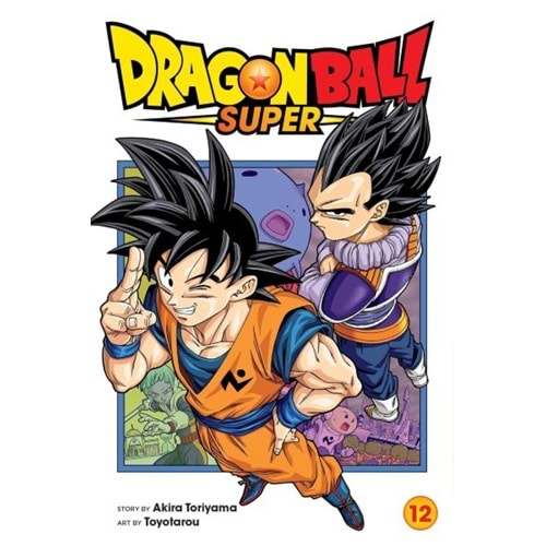 DRAGON BALL SUPER VOL 12 TPB