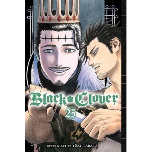BLACK CLOVER VOL 25 TPB