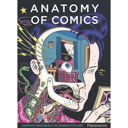 ANATOMY OF COMICS FAMOUS ORIGINALS OF NARRATIVE ART TPB