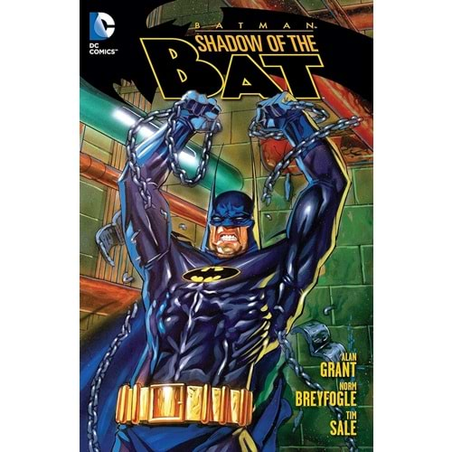 Batman Shadow Of The Bat Vol 1 TPB