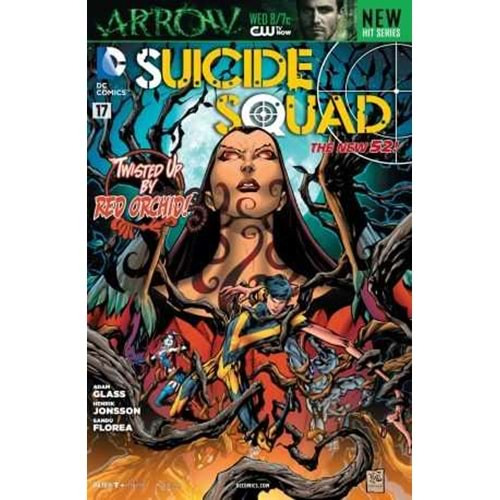 SUICIDE SQUAD (2011) # 17