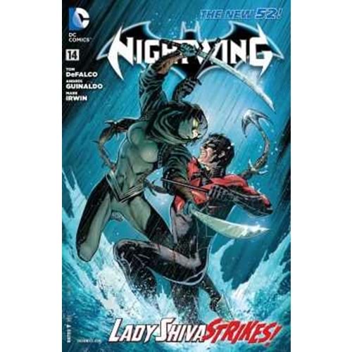 NIGHTWING (2011) # 14