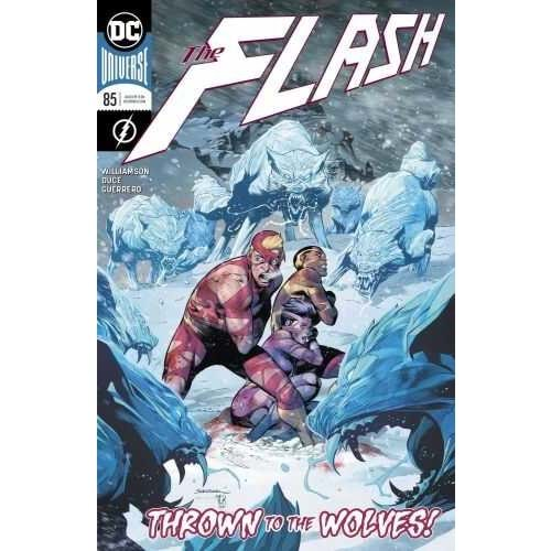 FLASH (2016) # 85