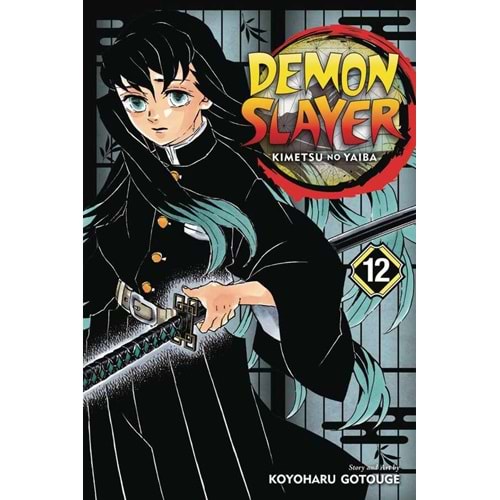 DEMON SLAYER KIMETSU NO YAIBA VOL 12 TPB