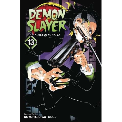 DEMON SLAYER KIMETSU NO YAIBA VOL 13 TPB