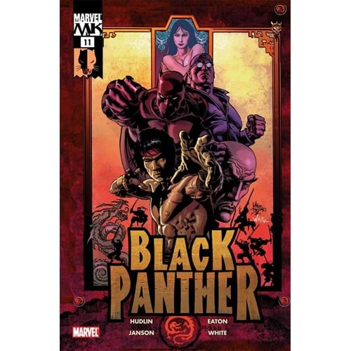 BLACK PANTHER (2005) # 11