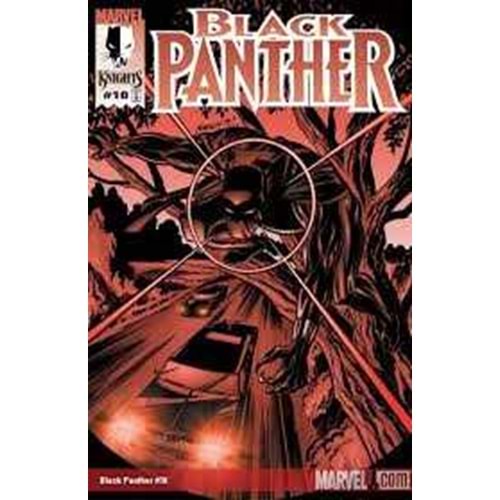 BLACK PANTHER (1998) # 10