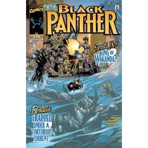 BLACK PANTHER (1998) # 14