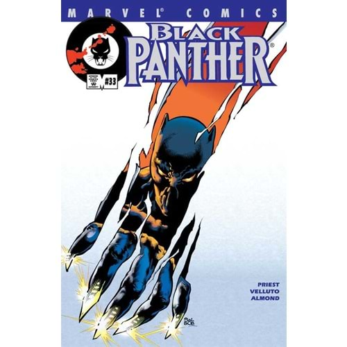 BLACK PANTHER (1998) # 33